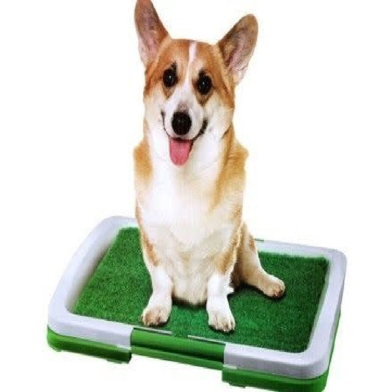 Pet Potty Pad